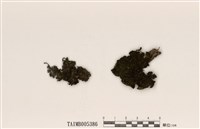 藏品(扁膠衣)的圖片